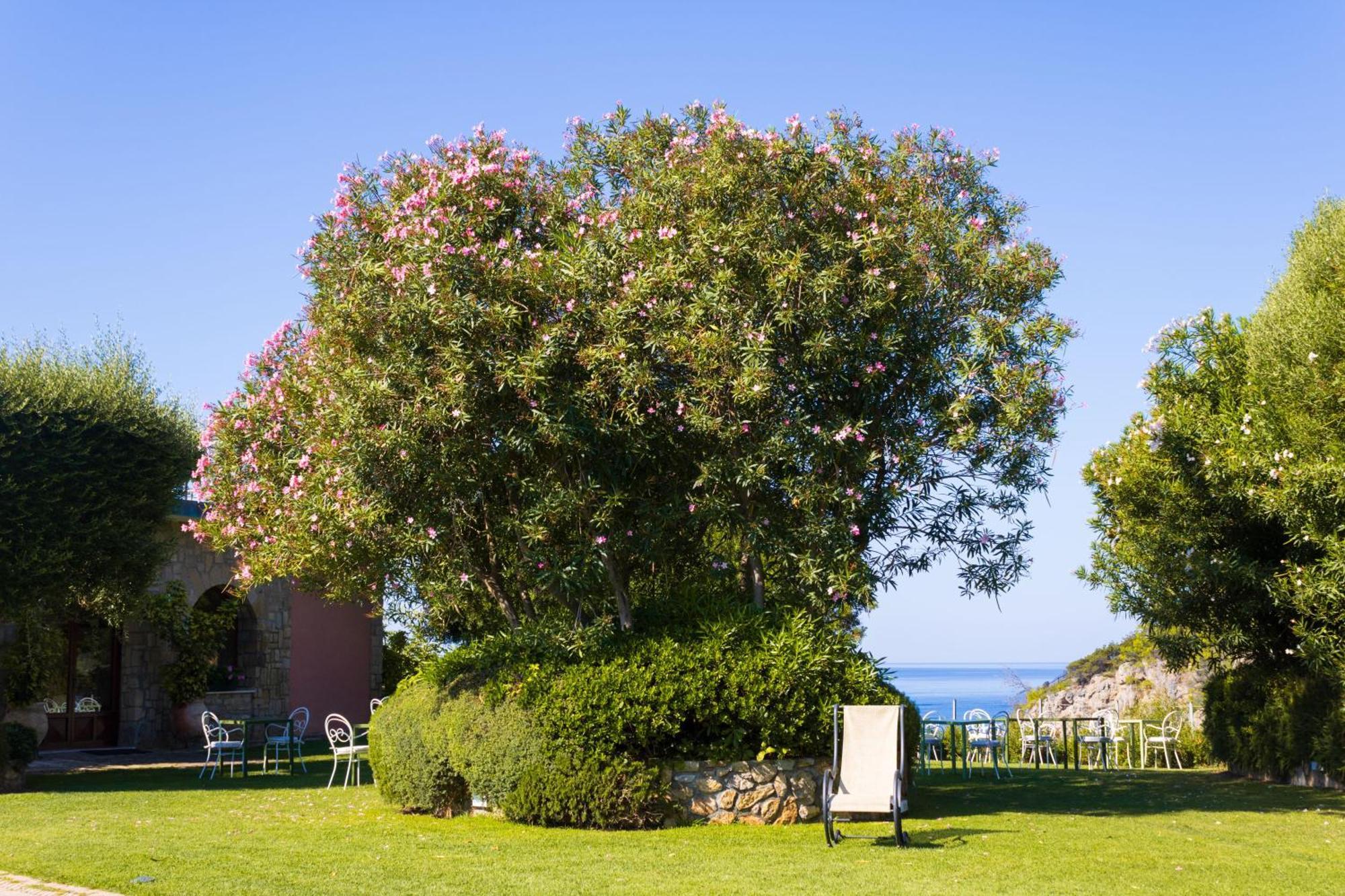 Hotel Capo D'Uomo Orbetello Ngoại thất bức ảnh